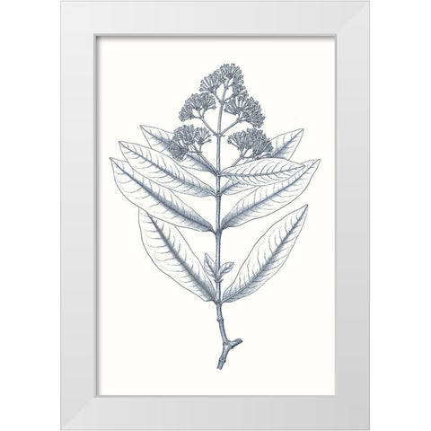 Indigo Botany Study I White Modern Wood Framed Art Print by Vision Studio