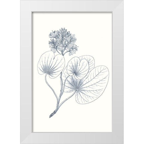Indigo Botany Study IV White Modern Wood Framed Art Print by Vision Studio