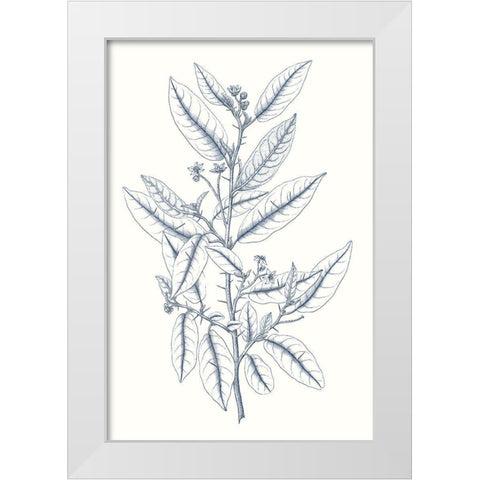 Indigo Botany Study V White Modern Wood Framed Art Print by Vision Studio