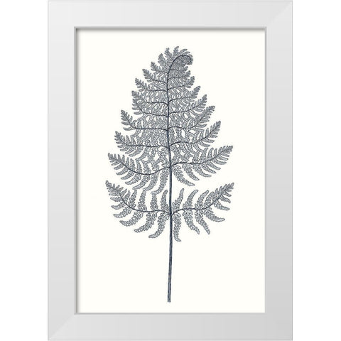 Indigo Botany Study VIII White Modern Wood Framed Art Print by Vision Studio
