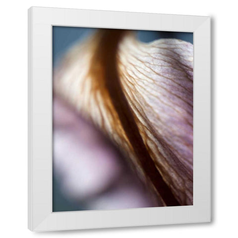 Lily Dusk II White Modern Wood Framed Art Print by Nourock, Jonathan