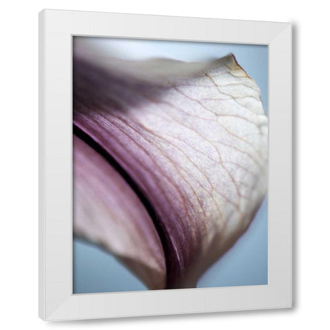 Lily Dusk III White Modern Wood Framed Art Print by Nourock, Jonathan