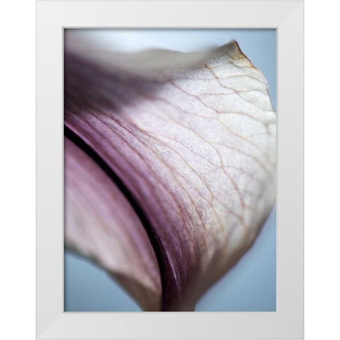 Lily Dusk III White Modern Wood Framed Art Print by Nourock, Jonathan