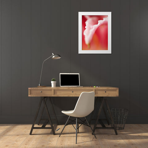 Macro Tulip I White Modern Wood Framed Art Print by Nourock, Jonathan