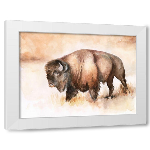 Buffalo Roam I White Modern Wood Framed Art Print by Parker, Jennifer Paxton
