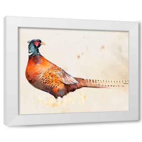 Pheasantry II White Modern Wood Framed Art Print by Parker, Jennifer Paxton