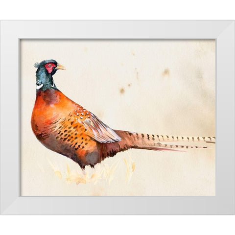 Pheasantry II White Modern Wood Framed Art Print by Parker, Jennifer Paxton
