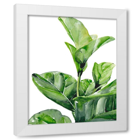 Fiddle Fig I White Modern Wood Framed Art Print by Parker, Jennifer Paxton