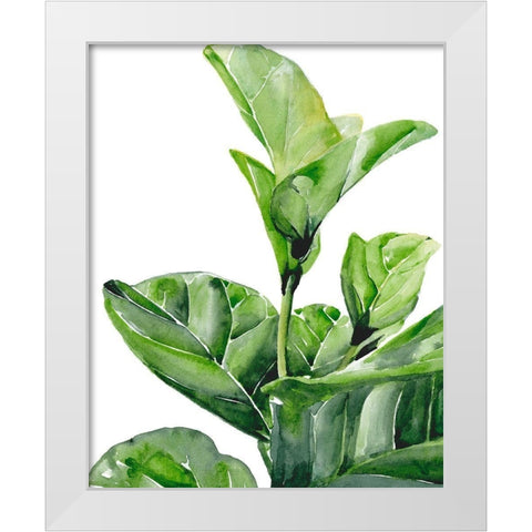 Fiddle Fig I White Modern Wood Framed Art Print by Parker, Jennifer Paxton