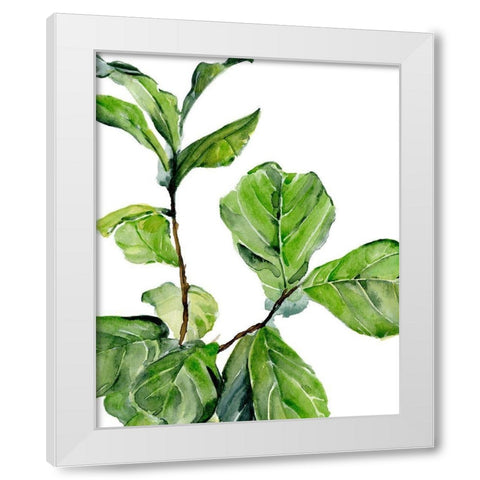 Fiddle Fig II White Modern Wood Framed Art Print by Parker, Jennifer Paxton