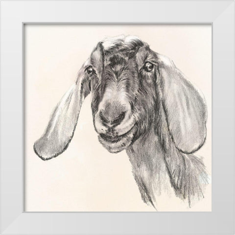 Farm Portrait I White Modern Wood Framed Art Print by Parker, Jennifer Paxton