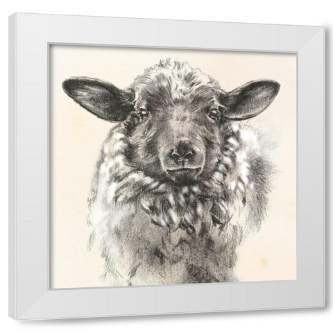 Farm Portrait II White Modern Wood Framed Art Print by Parker, Jennifer Paxton