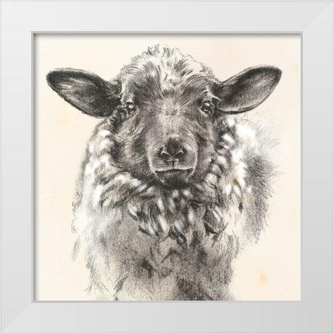 Farm Portrait II White Modern Wood Framed Art Print by Parker, Jennifer Paxton