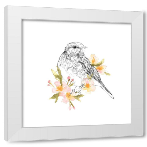 Robin Sketch I White Modern Wood Framed Art Print by Scarvey, Emma