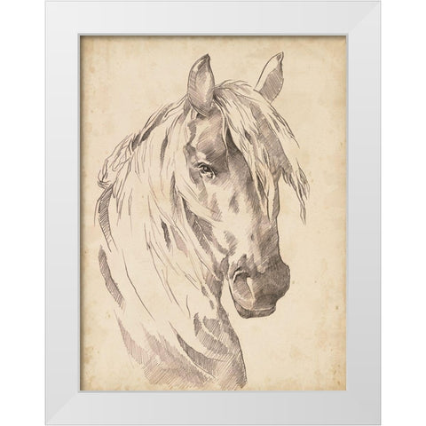 Horse Portrait Sketch I White Modern Wood Framed Art Print by Parker, Jennifer Paxton