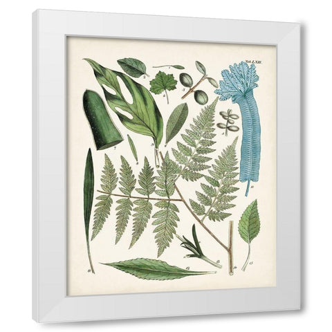 Fanciful Ferns IV White Modern Wood Framed Art Print by Unknown