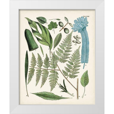 Fanciful Ferns IV White Modern Wood Framed Art Print by Unknown