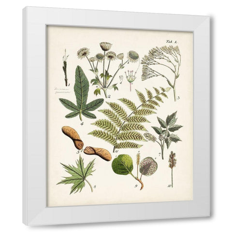 Fanciful Ferns VI White Modern Wood Framed Art Print by Unknown