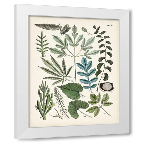 Fanciful Ferns VII White Modern Wood Framed Art Print by Unknown