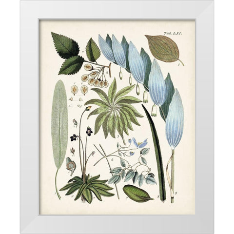 Fanciful Ferns IX White Modern Wood Framed Art Print by Unknown