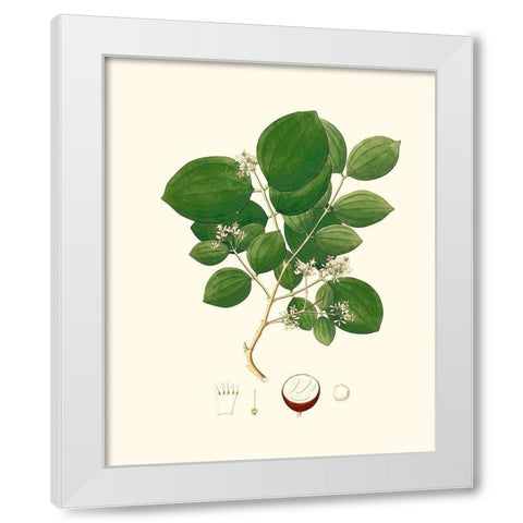 Spring Green Foliage I White Modern Wood Framed Art Print by Unknown