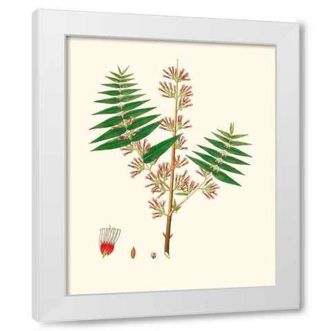 Spring Green Foliage VI White Modern Wood Framed Art Print by Unknown