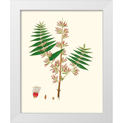 Spring Green Foliage VI White Modern Wood Framed Art Print by Unknown