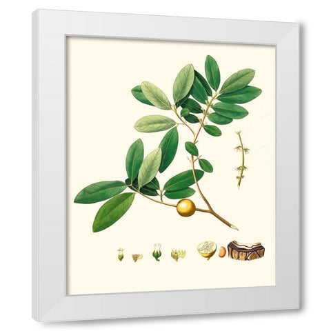 Spring Green Foliage VII White Modern Wood Framed Art Print by Unknown