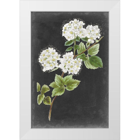 Dramatic White Flowers II White Modern Wood Framed Art Print by Vision Studio