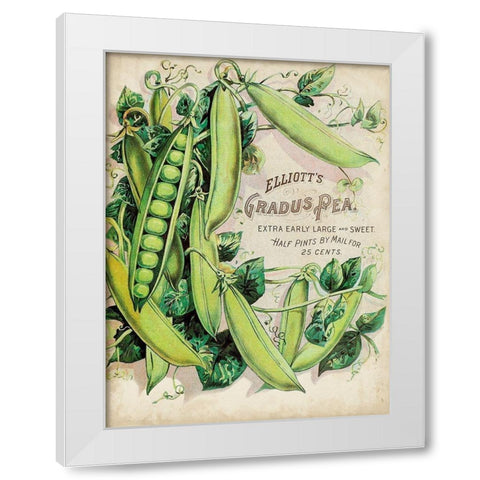 Antique Seed Packets V White Modern Wood Framed Art Print by Unknown