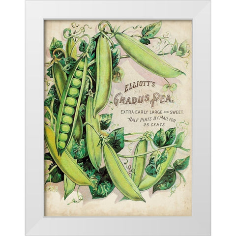 Antique Seed Packets V White Modern Wood Framed Art Print by Unknown