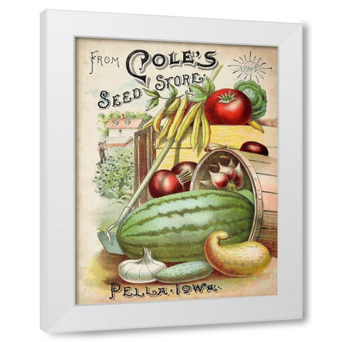 Antique Seed Packets VI White Modern Wood Framed Art Print by Unknown