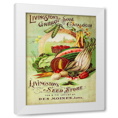 Antique Seed Packets VII White Modern Wood Framed Art Print by Unknown