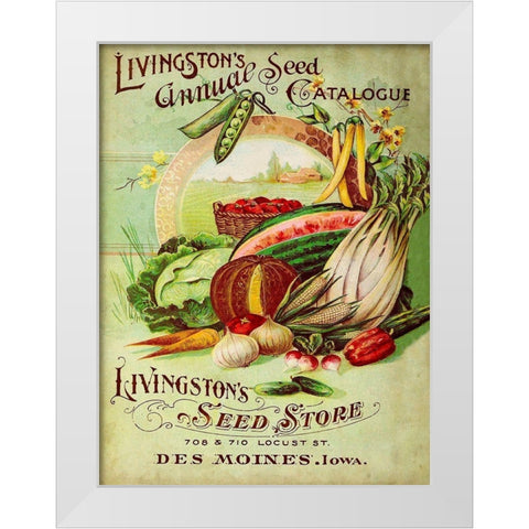 Antique Seed Packets VII White Modern Wood Framed Art Print by Unknown