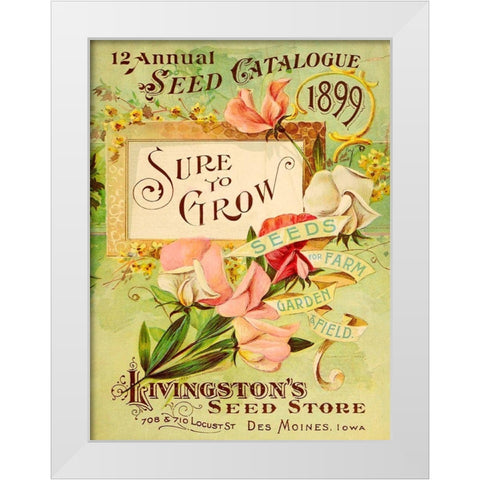 Antique Seed Packets VIII White Modern Wood Framed Art Print by Unknown