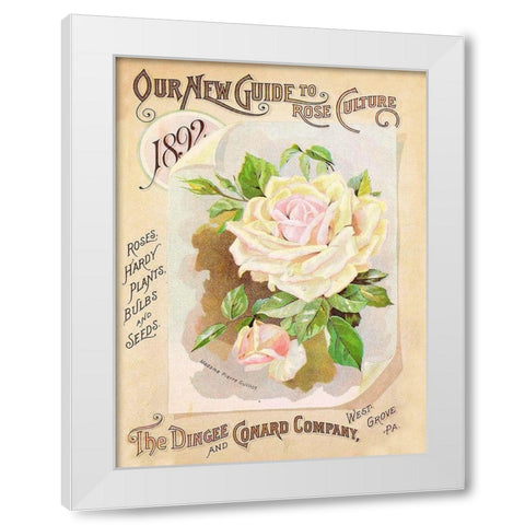 Antique Seed Packets IX White Modern Wood Framed Art Print by Unknown