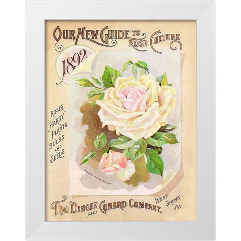 Antique Seed Packets IX White Modern Wood Framed Art Print by Unknown