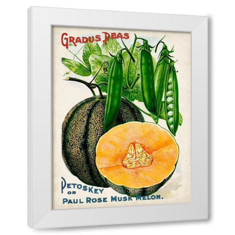Antique Seed Packets X White Modern Wood Framed Art Print by Unknown