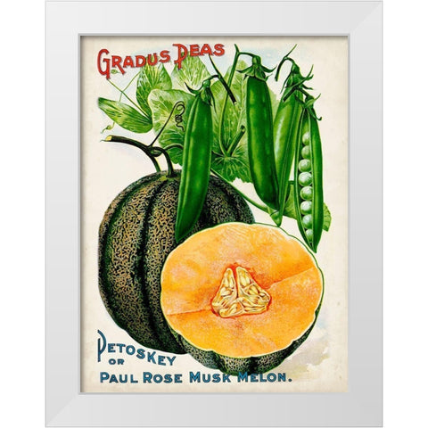 Antique Seed Packets X White Modern Wood Framed Art Print by Unknown
