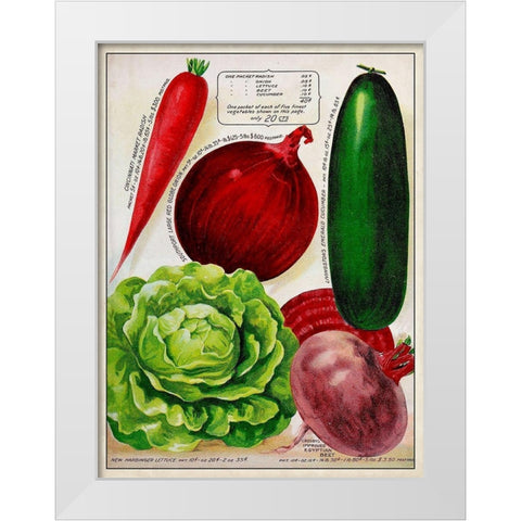 Antique Seed Packets XI White Modern Wood Framed Art Print by Unknown