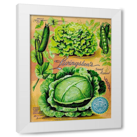 Antique Seed Packets XII White Modern Wood Framed Art Print by Unknown