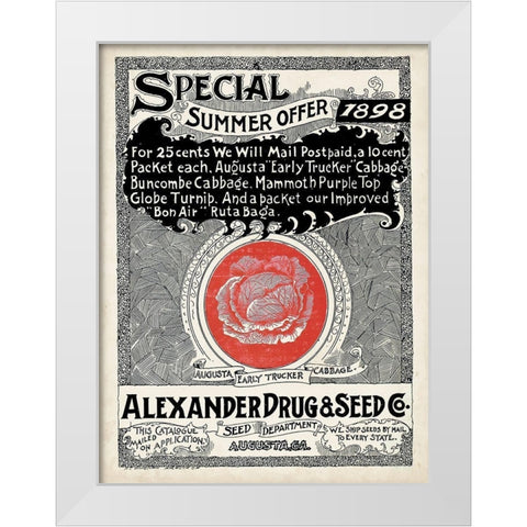 Antique Seed Packets XIII White Modern Wood Framed Art Print by Unknown