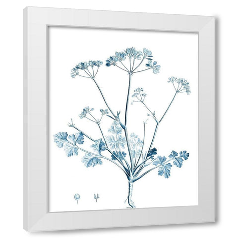 Antique Botanical in Blue IV White Modern Wood Framed Art Print by Vision Studio