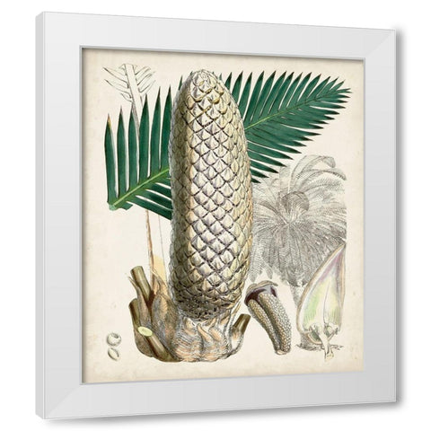 Sago Palms II White Modern Wood Framed Art Print by Curtis