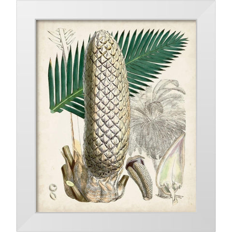 Sago Palms II White Modern Wood Framed Art Print by Curtis