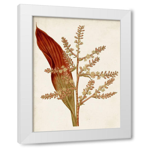 Muted Botanicals I White Modern Wood Framed Art Print by Curtis