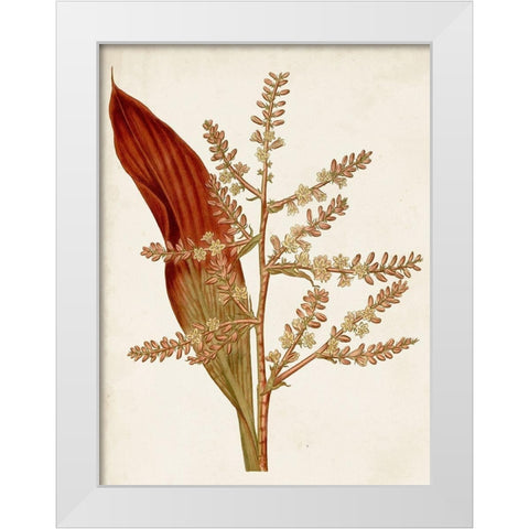 Muted Botanicals I White Modern Wood Framed Art Print by Curtis