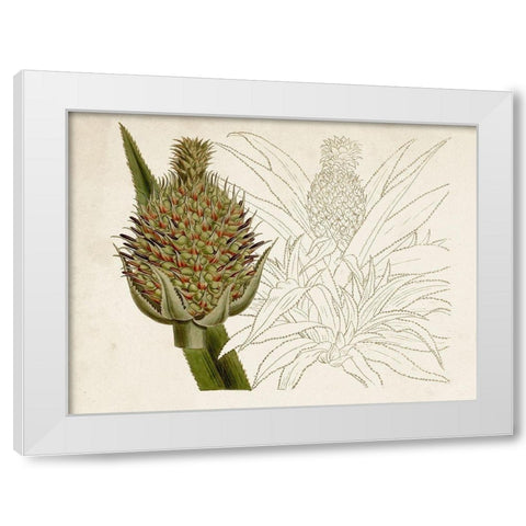 Tropical Foliage and Fruit VI White Modern Wood Framed Art Print by Curtis