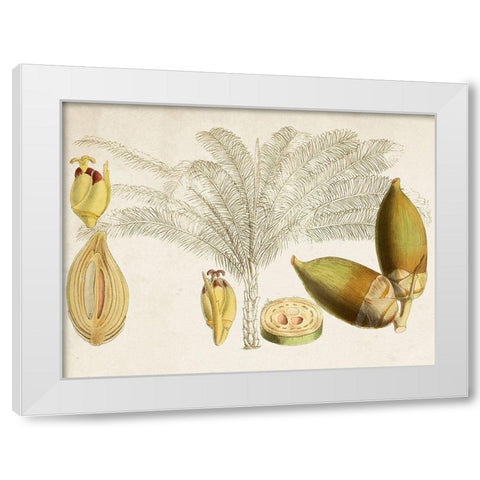 Tropical Foliage and Fruit VIII White Modern Wood Framed Art Print by Curtis