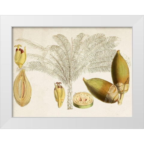 Tropical Foliage and Fruit VIII White Modern Wood Framed Art Print by Curtis